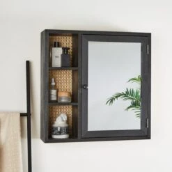 Dunelm French Cane Black Mirror Cabinet
