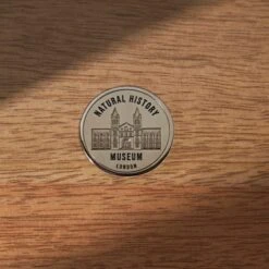 Natural History Museum Small Glazed Display Cabinet -Furniture Store 30756116 alt03